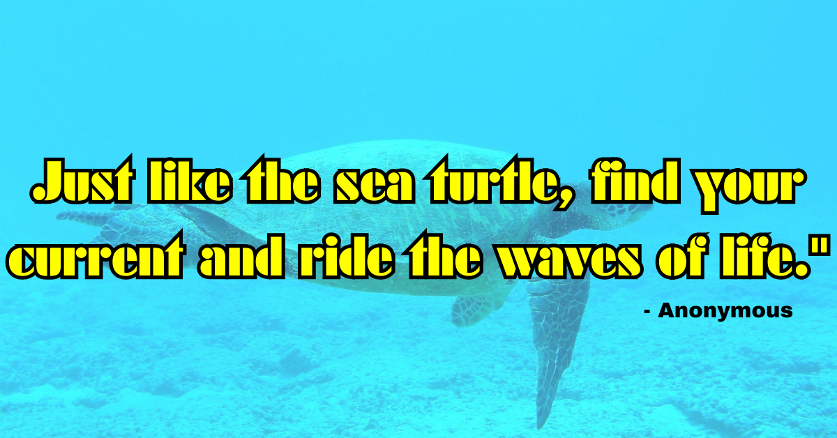 "Just like the sea turtle, find your current and ride the waves of life." - Anonymous