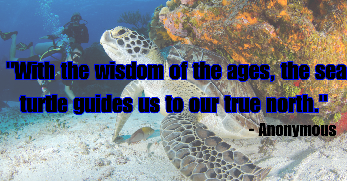 "With the wisdom of the ages, the sea turtle guides us to our true north." - Anonymous