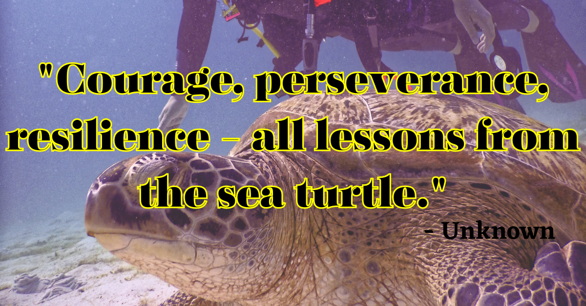 "Courage, perseverance, resilience - all lessons from the sea turtle." - Unknown