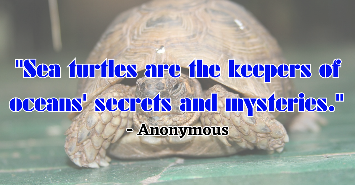 "Sea turtles are the keepers of oceans' secrets and mysteries." - Anonymous