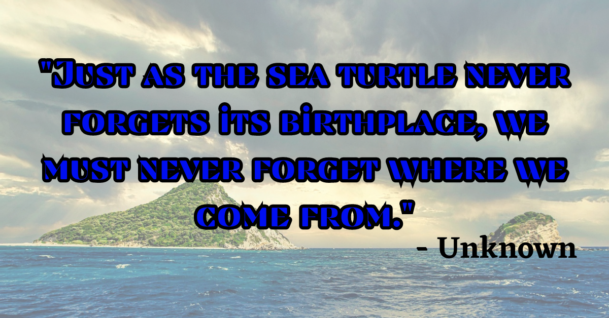 "Just as the sea turtle never forgets its birthplace, we must never forget where we come from." - Unknown