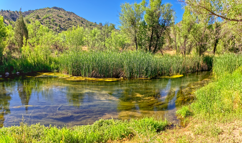 The Verde River just west of Stewart Ranch in the Upper Verde River Wildlife Area.