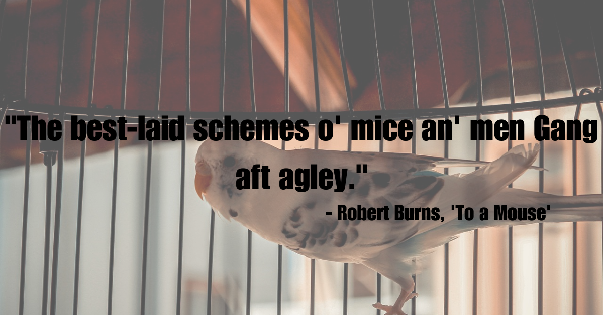 "The best-laid schemes o' mice an' men Gang aft agley." - Robert Burns, 'To a Mouse'