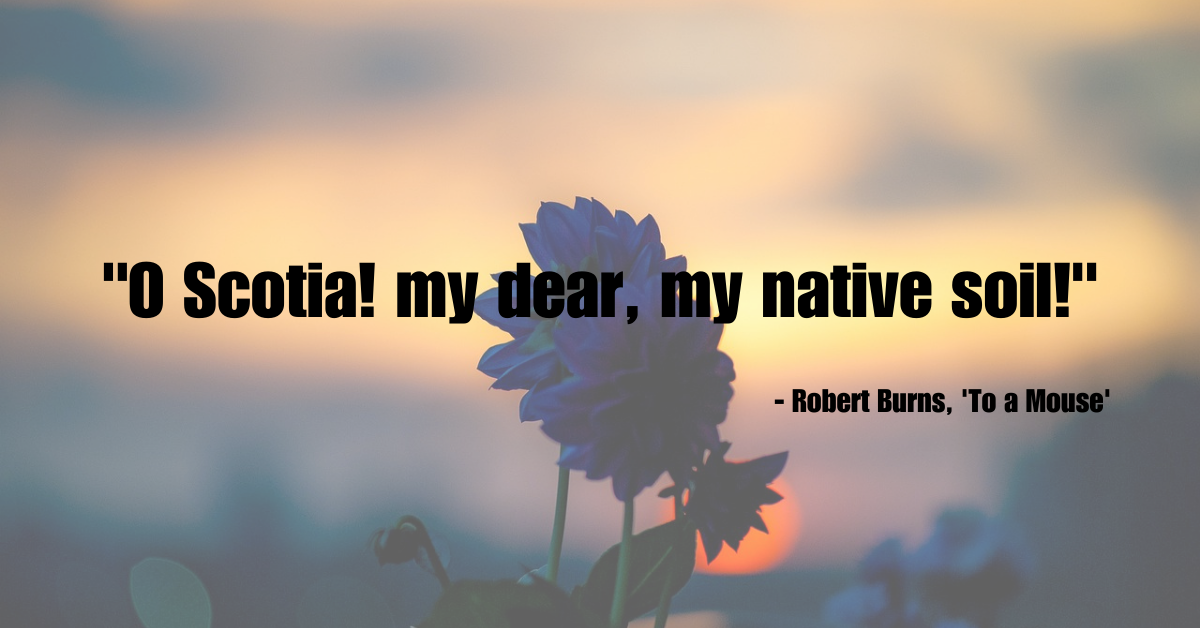 "O Scotia! my dear, my native soil!" - Robert Burns, 'To a Mouse'