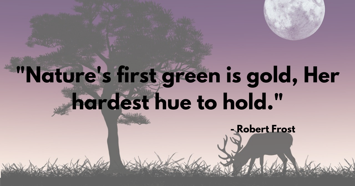 "Nature's first green is gold, Her hardest hue to hold." - Robert Frost