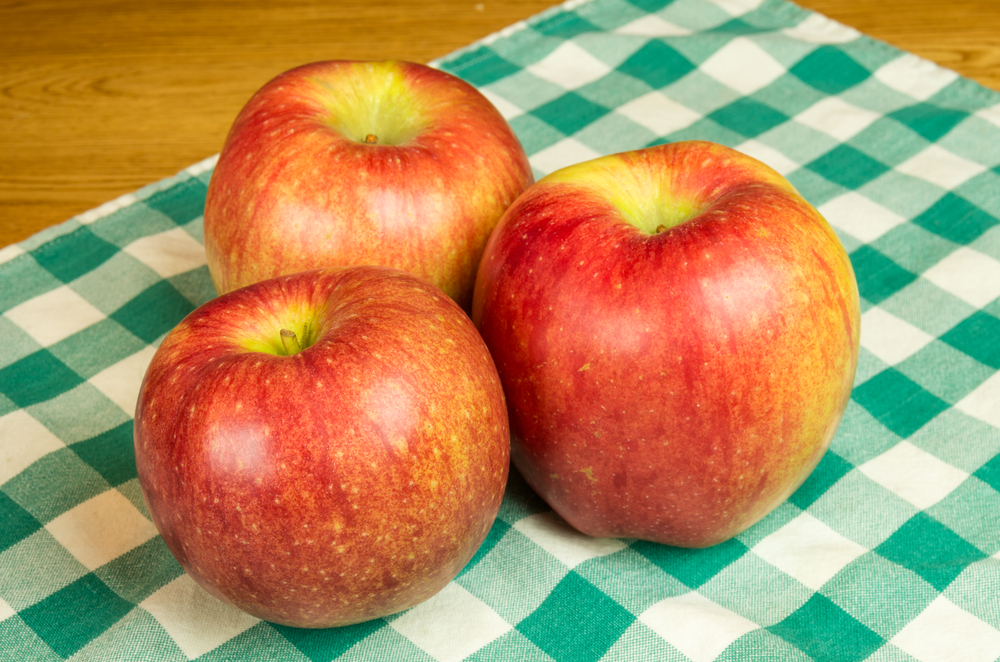 Sekai-ichi Apple price