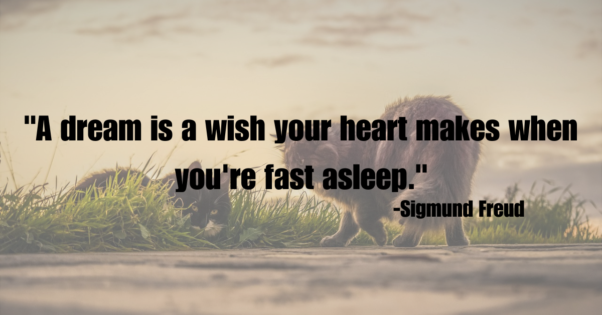 "A dream is a wish your heart makes when you're fast asleep."