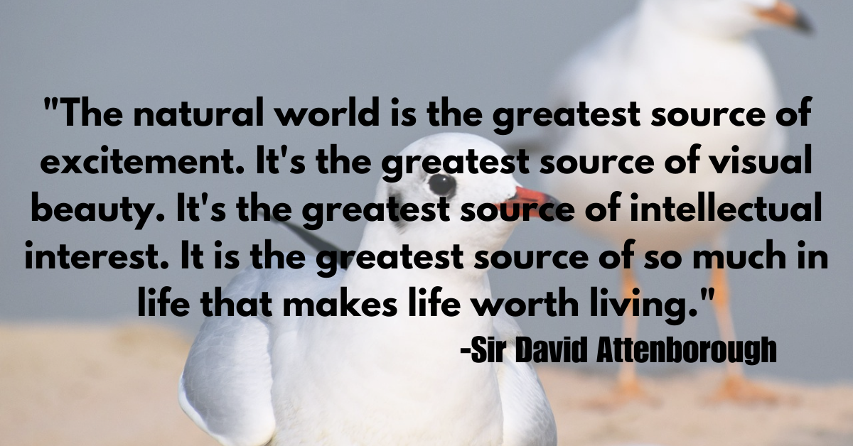"The natural world is the greatest source of excitement. It's the greatest source of visual beauty. It's the greatest source of intellectual interest. It is the greatest source of so much in life that makes life worth living."