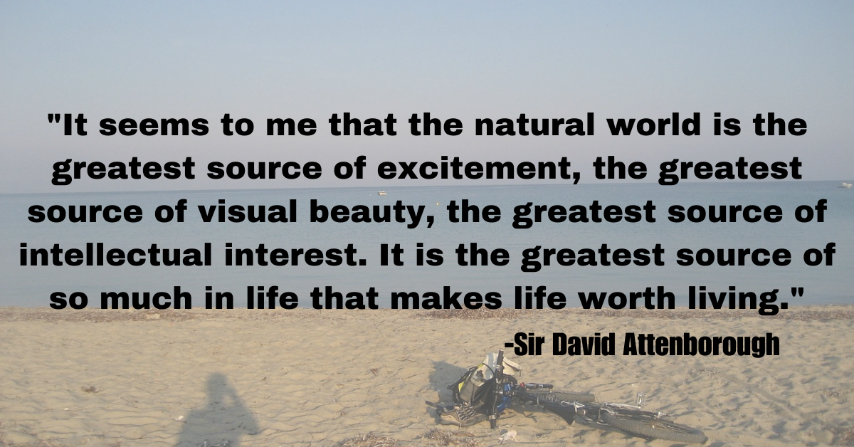 "It seems to me that the natural world is the greatest source of excitement, the greatest source of visual beauty, the greatest source of intellectual interest. It is the greatest source of so much in life that makes life worth living."