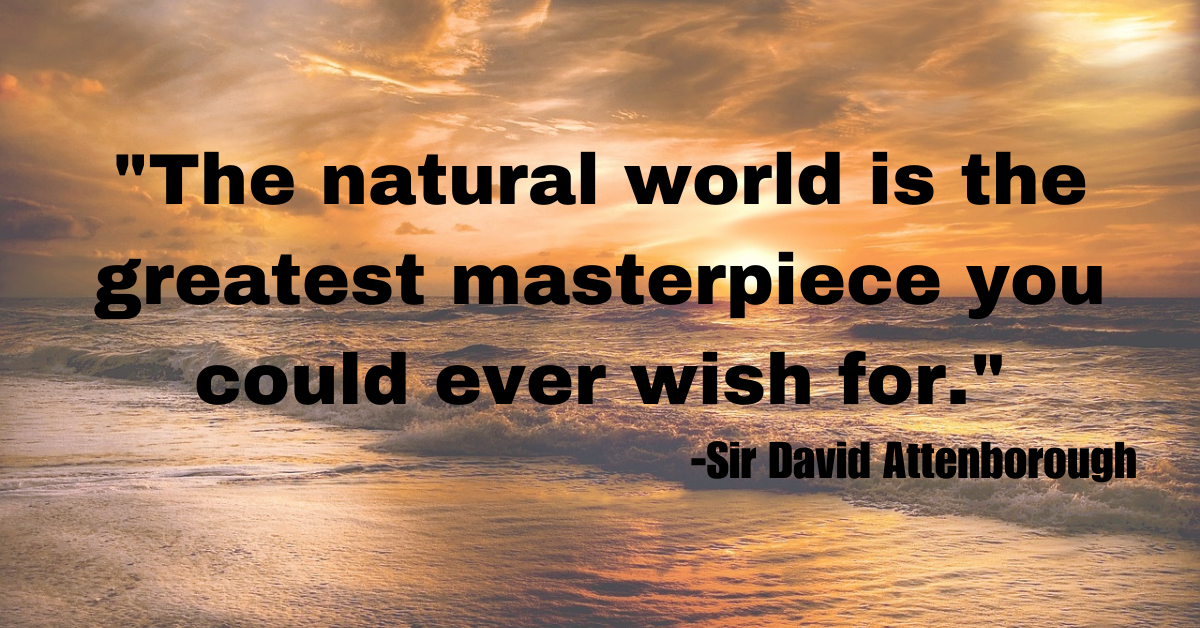 "The natural world is the greatest masterpiece you could ever wish for."