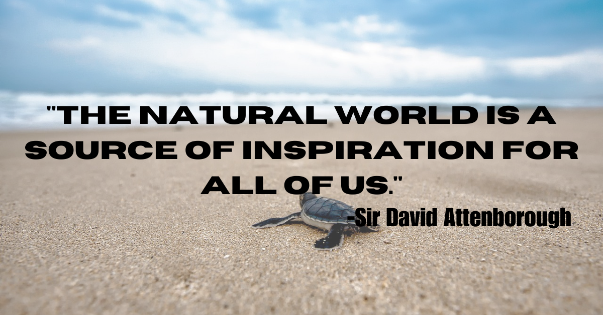 "The natural world is a source of inspiration for all of us."