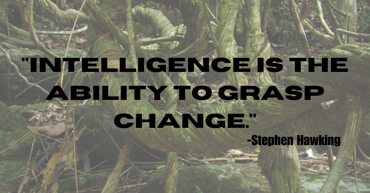 "Intelligence is the ability to grasp change."