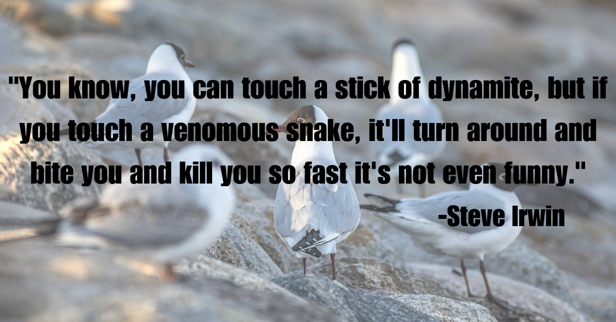 "You know, you can touch a stick of dynamite, but if you touch a venomous snake, it'll turn around and bite you and kill you so fast it's not even funny."