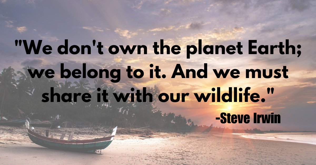 "We don't own the planet Earth; we belong to it. And we must share it with our wildlife."