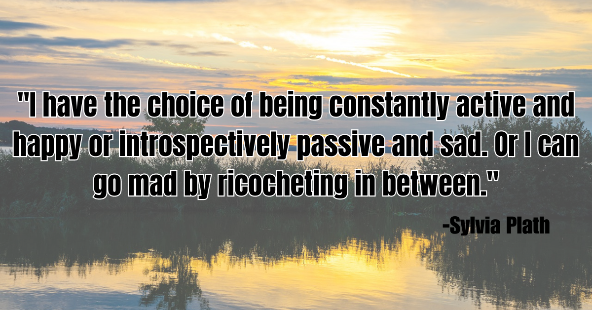 "I have the choice of being constantly active and happy or introspectively passive and sad. Or I can go mad by ricocheting in between."