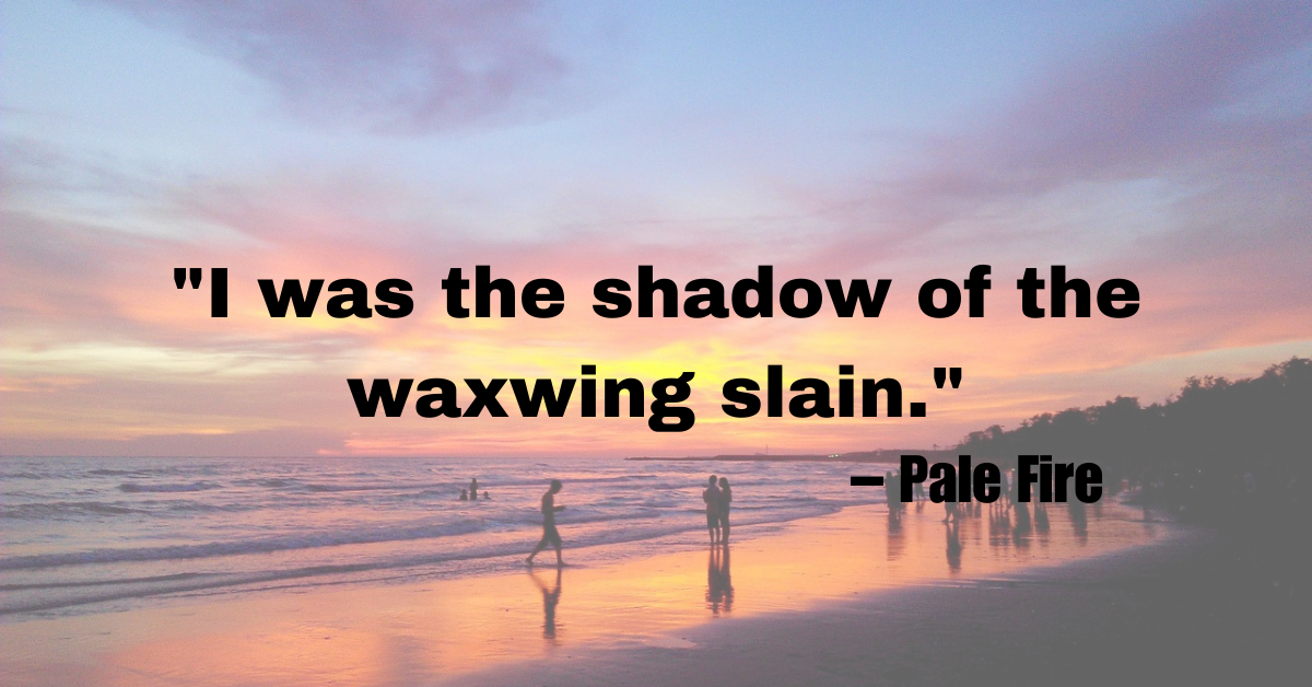 "I was the shadow of the waxwing slain." – Pale Fire