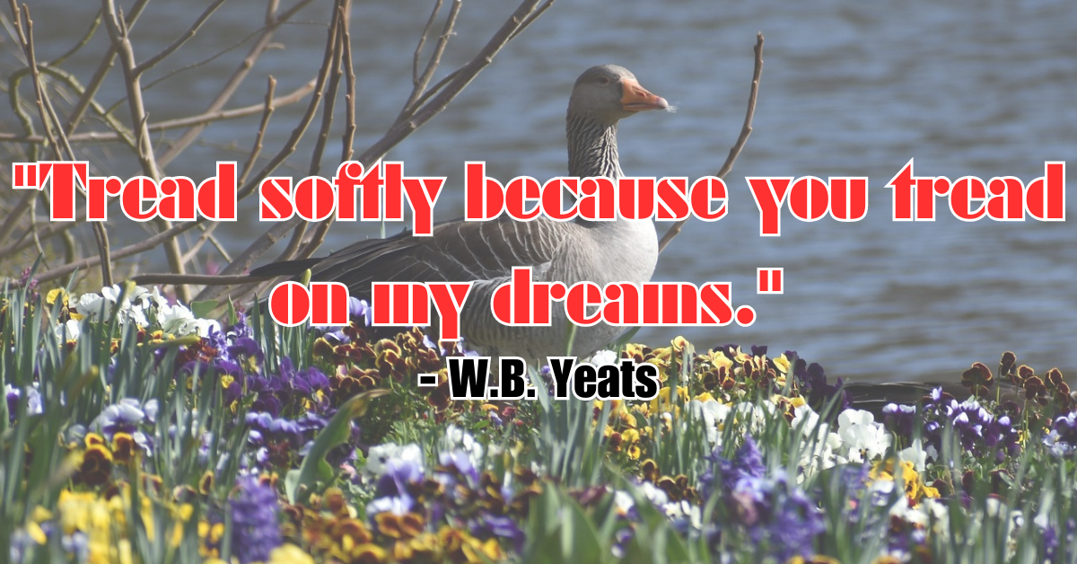 "Tread softly because you tread on my dreams." - W.B. Yeats