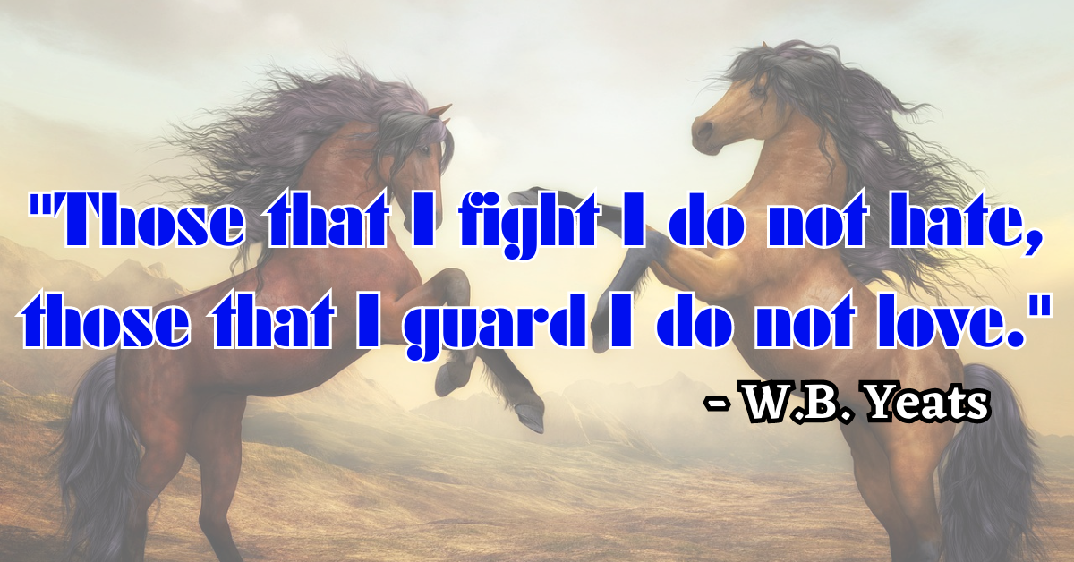 "Those that I fight I do not hate, those that I guard I do not love." - W.B. Yeats