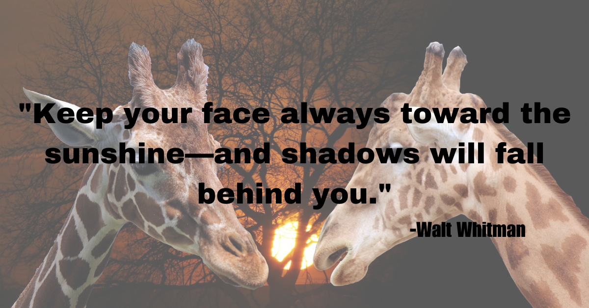 "Keep your face always toward the sunshine—and shadows will fall behind you."