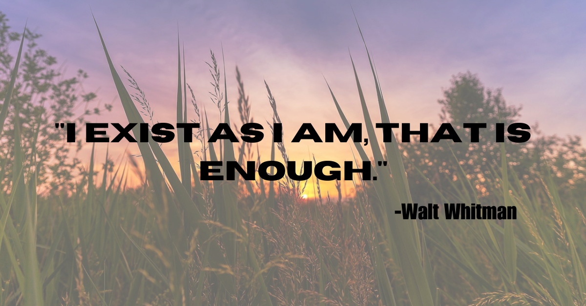 "I exist as I am, that is enough."