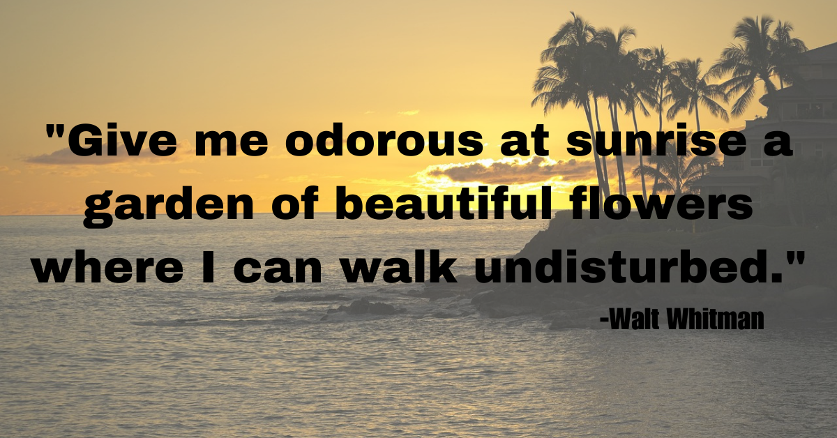 "Give me odorous at sunrise a garden of beautiful flowers where I can walk undisturbed."