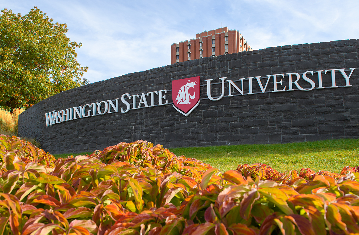 Washington State University business school, 15 best business schools in Washington