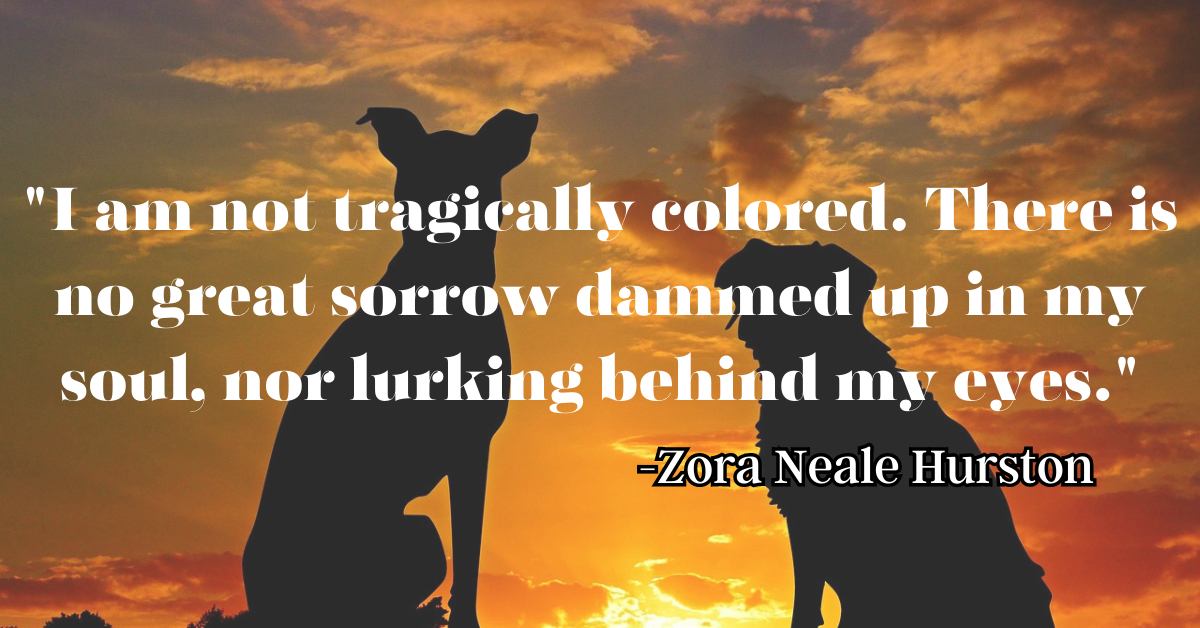 "I am not tragically colored. There is no great sorrow dammed up in my soul, nor lurking behind my eyes."