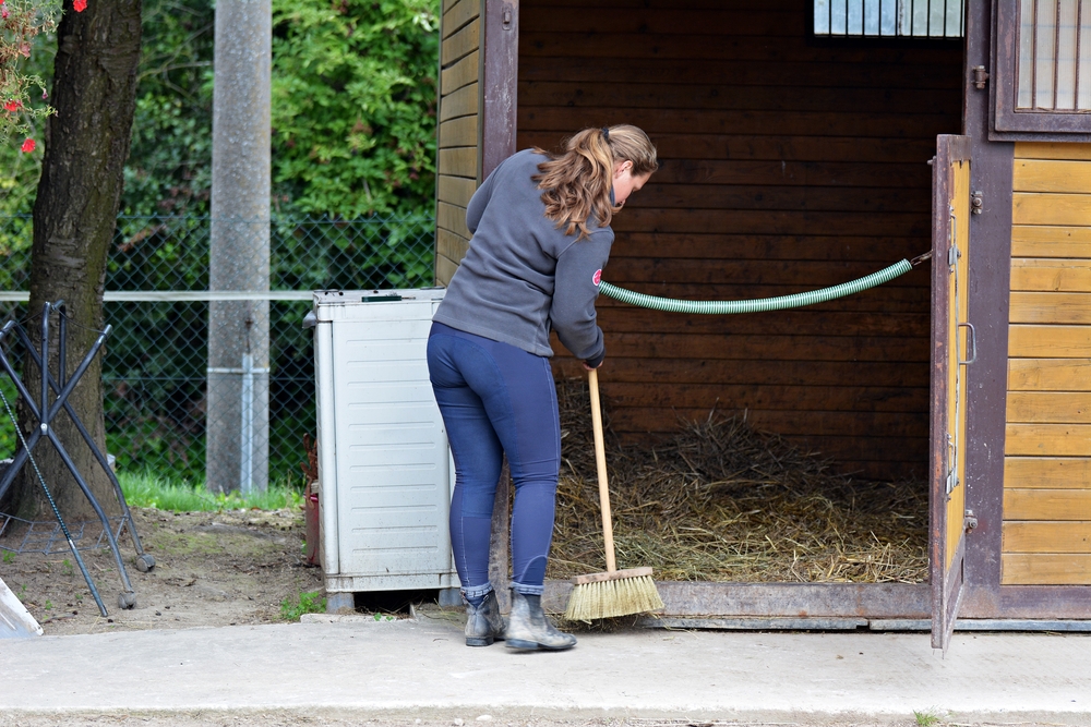 horse stable cleaning business