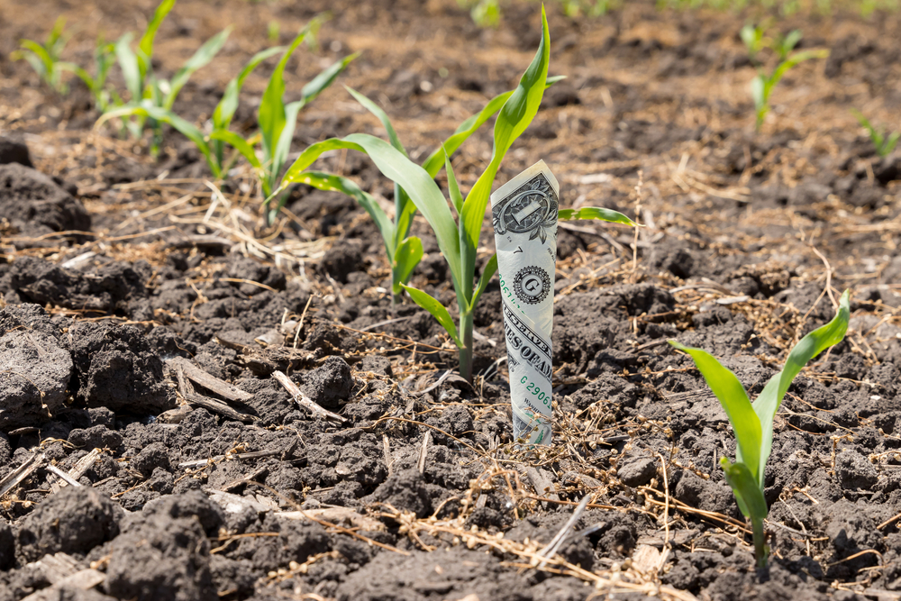 how much money can a farmer or rancher make?