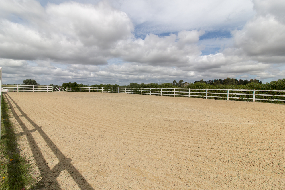 renting out your horse arena