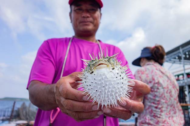 Fugu