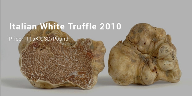 auction of the italian white truffle