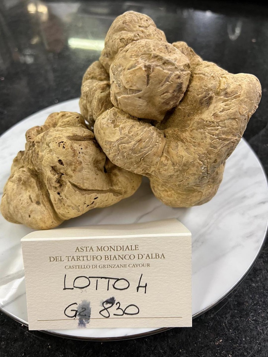 italian white truffle