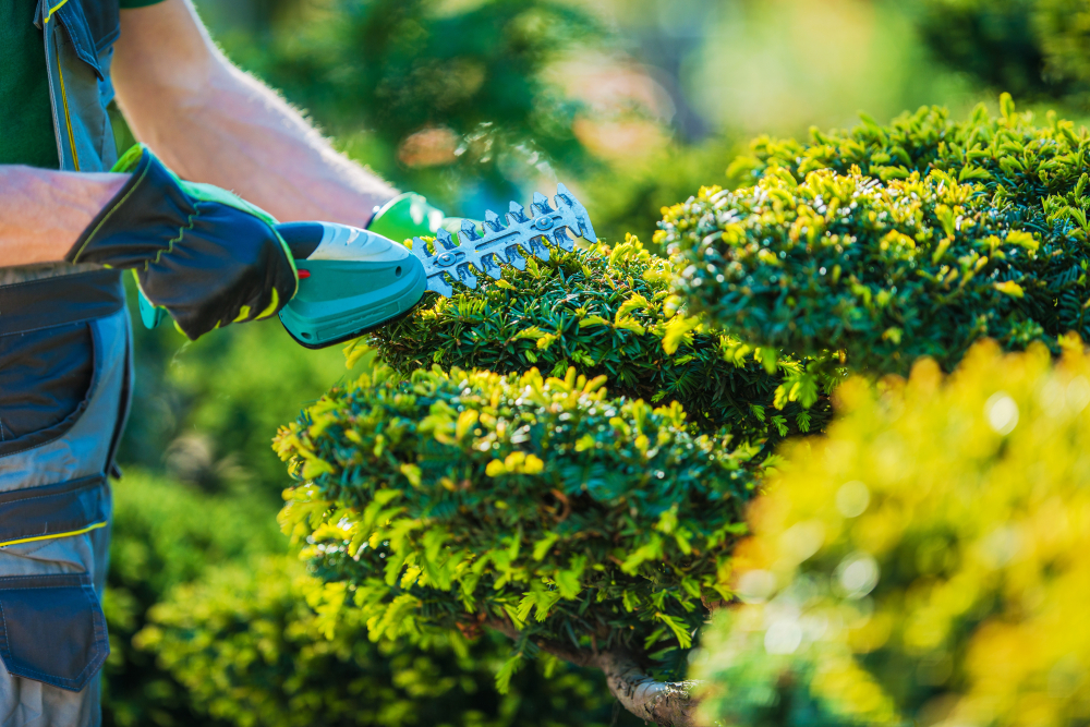 landscaping business startup costs