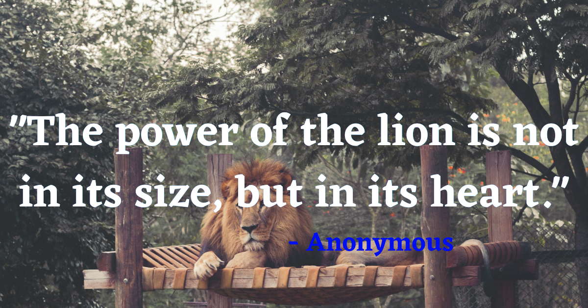 "The power of the lion is not in its size, but in its heart." - Anonymous
