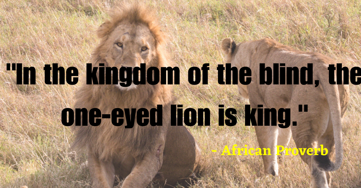 "In the kingdom of the blind, the one-eyed lion is king." - African Proverb
