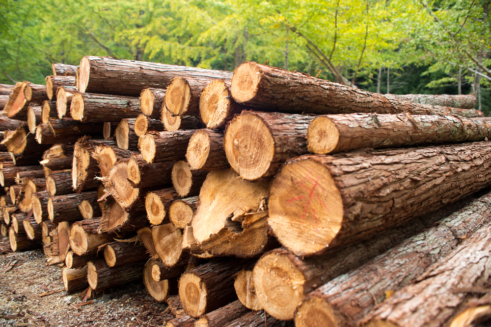 firewood processor business plan