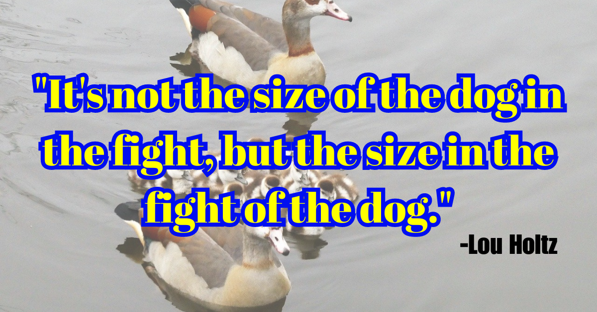 "It's not the size of the dog in the fight, but the size in the fight of the dog."