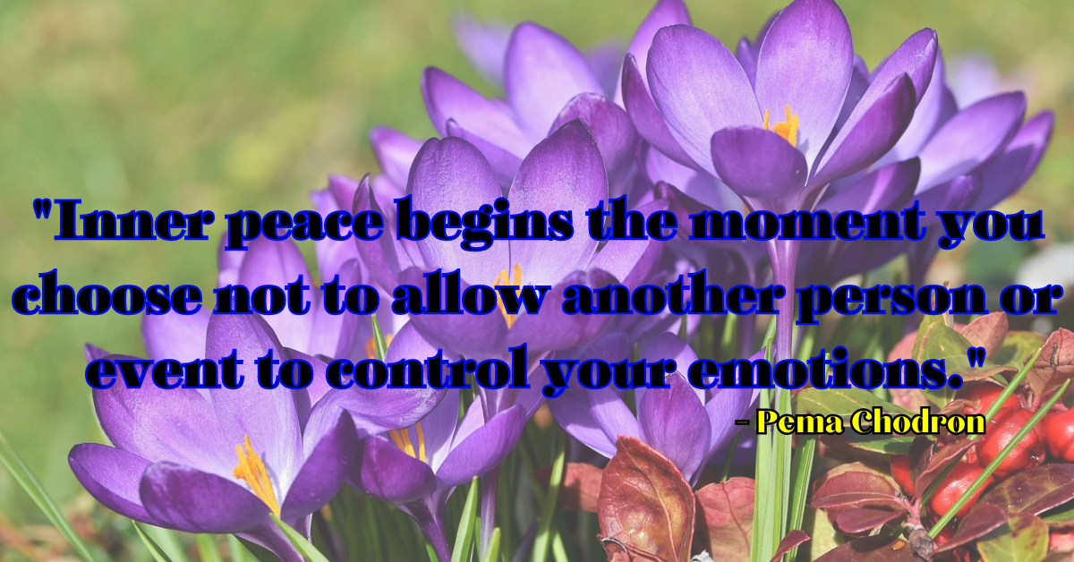 "Inner peace begins the moment you choose not to allow another person or event to control your emotions." - Pema Chodron