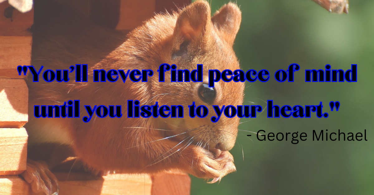 "You'll never find peace of mind until you listen to your heart." - George Michael