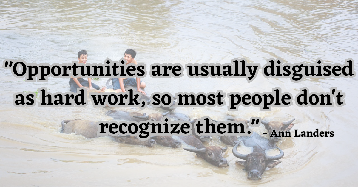 "Opportunities are usually disguised as hard work, so most people don't recognize them." - Ann Landers
