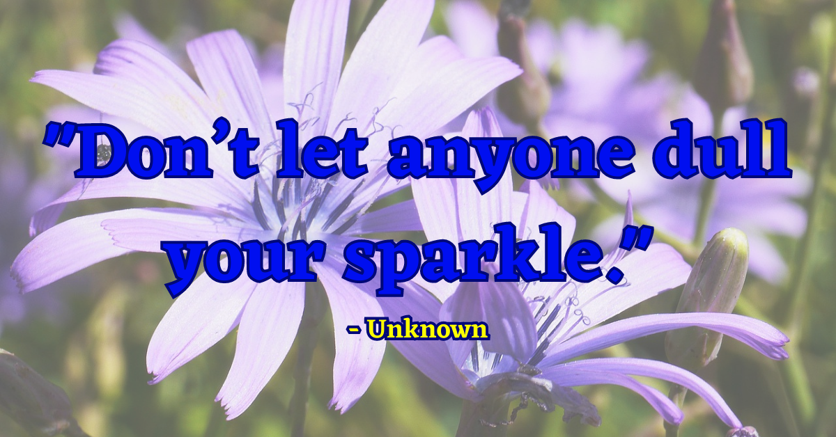"Don’t let anyone dull your sparkle." - Unknown