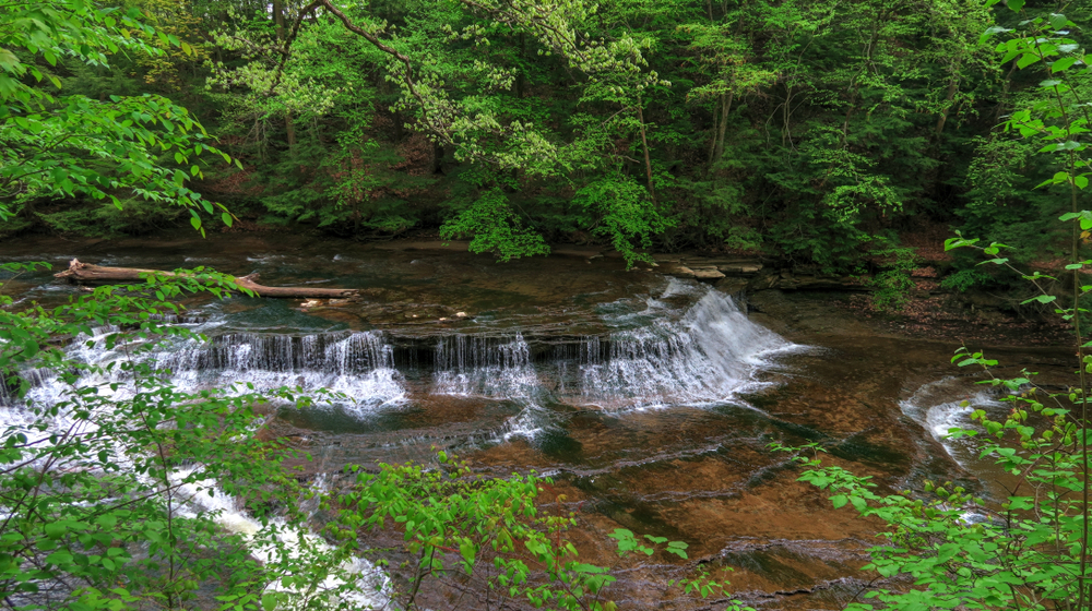 Waterfall Solon Creek