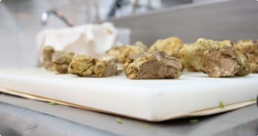 12th world white truffle of alba auction