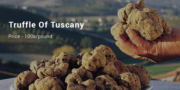 tuscany truffle 2007