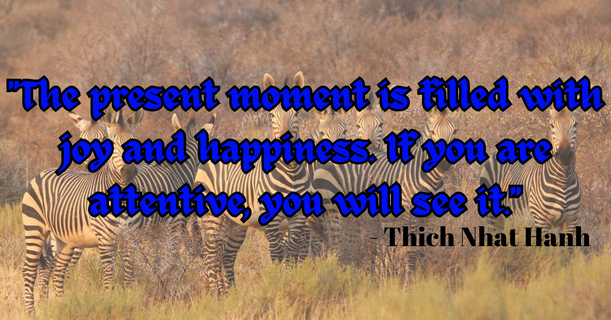 "The present moment is filled with joy and happiness. If you are attentive, you will see it." - Thich Nhat Hanh