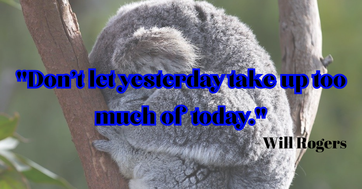 "Don't let yesterday take up too much of today." - Will Rogers