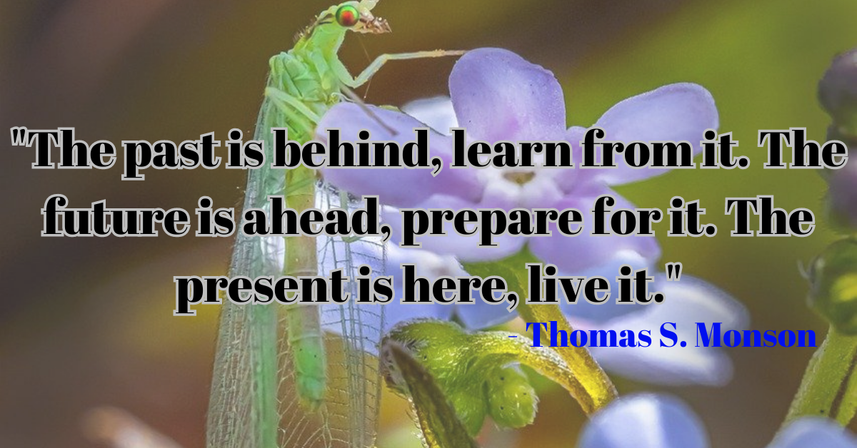 "The past is behind, learn from it. The future is ahead, prepare for it. The present is here, live it." - Thomas S. Monson