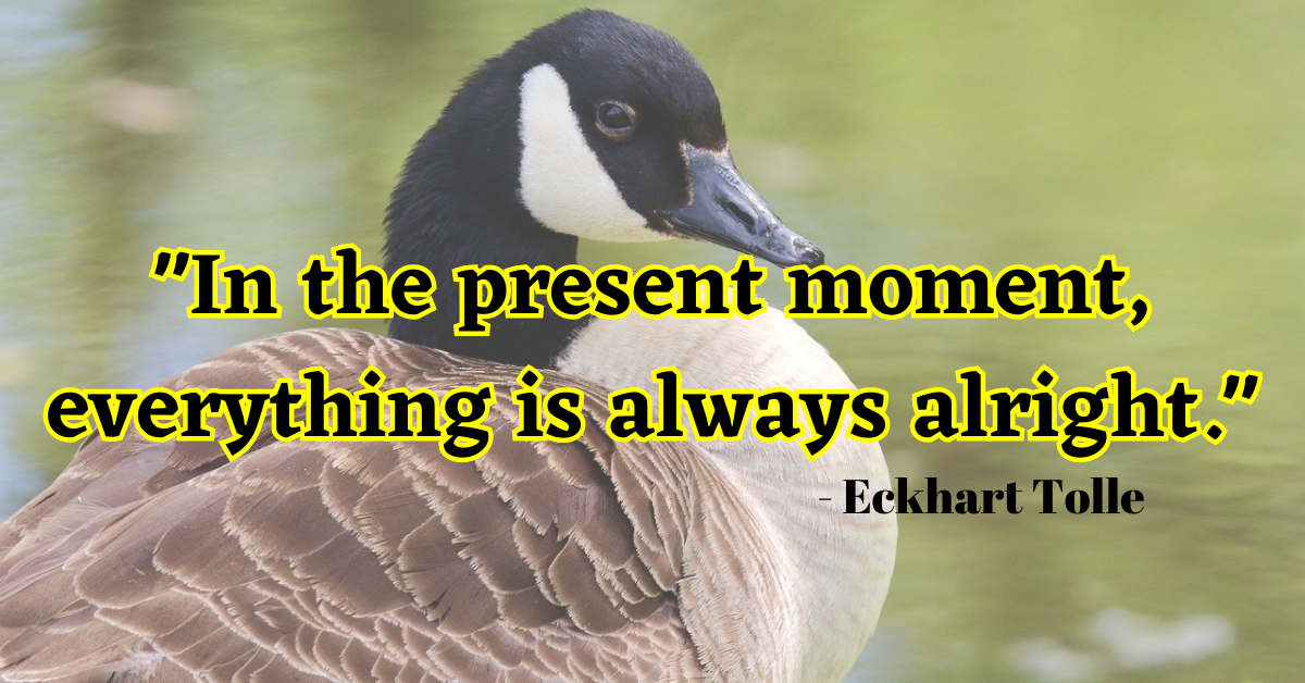 "In the present moment, everything is always alright." - Eckhart Tolle