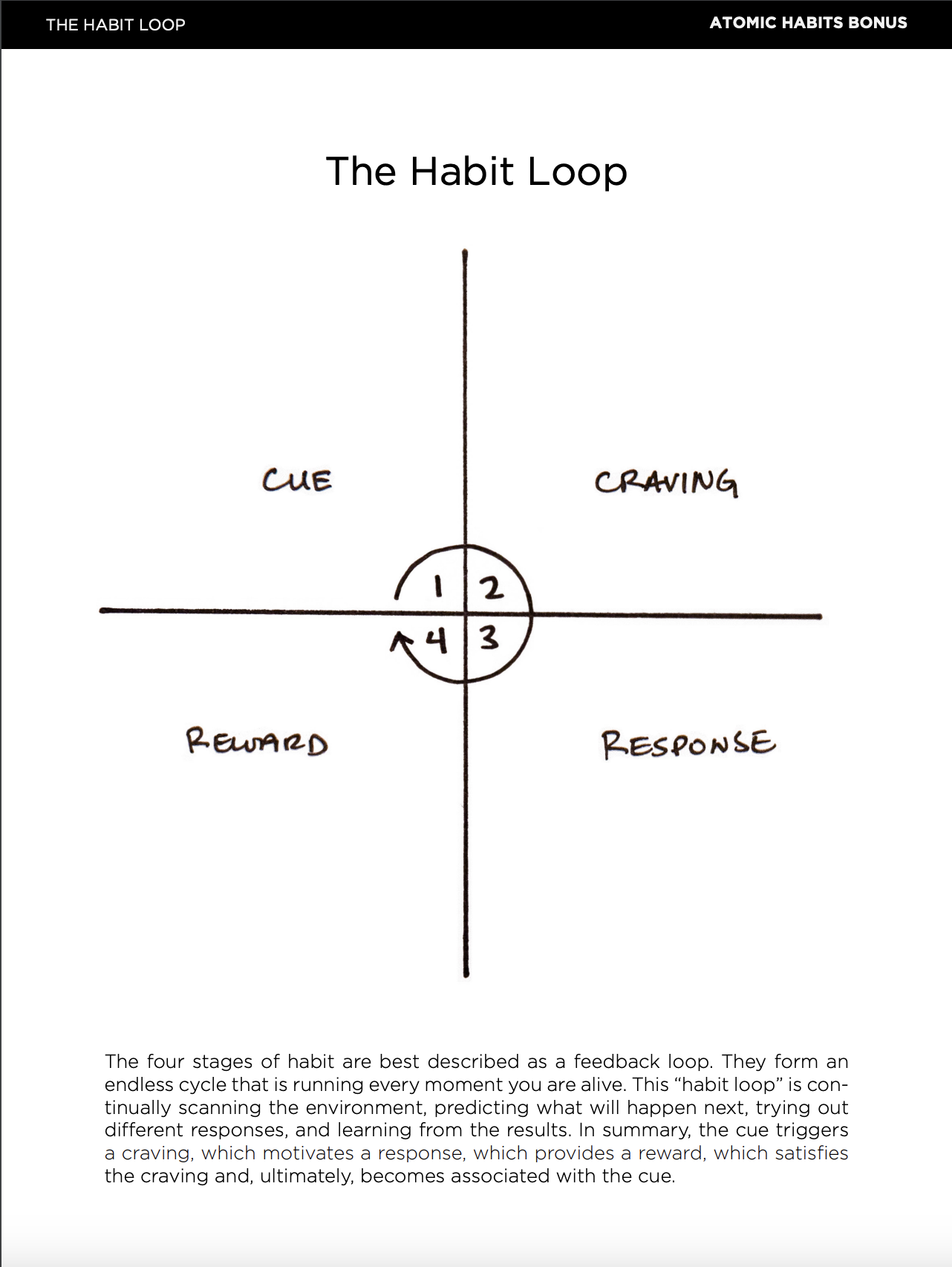 James Clear Habit Loop